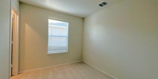 6234 FIELDRUN Gallery 19