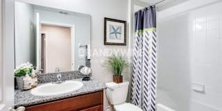 10615 Sweet Sapling Street Gallery 19