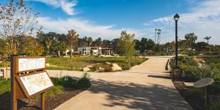 The Seaton Gallery 43