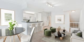 Windsor Coral Springs Gallery 2