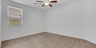 4913 Calabash Tree Court Gallery 11