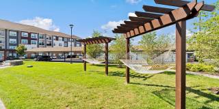 Kinsley Forest Gallery 23