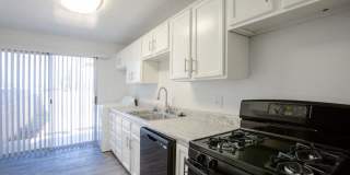 Icon on Stella Gallery 2