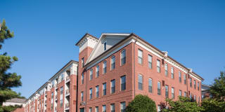 The Cosmopolitan at Lorton Station Gallery 54