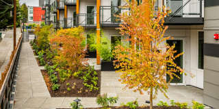 Janus Apartments Gallery 41