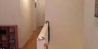 457 Monroe Boulevard Gallery 5