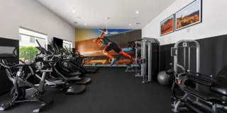 Solaire Gallery 61