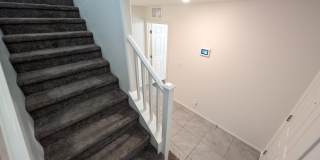 664 Vetiver Lane Gallery 8