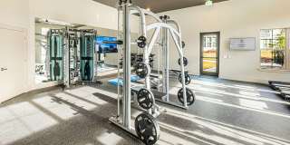 The Samford Glenn Gallery 7