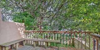 Fabulous Chesapeake Bay Location - Steps to Beach! Gallery 15