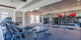 Lakeside Walk Gallery 14