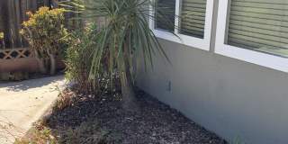 5115 Seabreeze Way Gallery 10