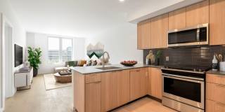 The Edmund Gallery 1