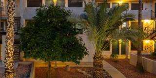 The Place At Wickertree Apartments Gallery 30