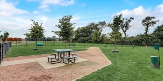 Springs at Orchard Road Gallery 53