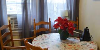 Nice 1 bed in Allston Gallery 11