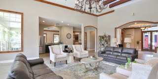 Springs at Palma Sola Gallery 29