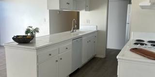 *FIRST MONTH FREE WHEN APPLICATION IS SUBMITTED THE SAME DAY OF TOUR* Bright 1 Bed / 1 Bath with Balcony & Pool – Central AC – Pet Friendly! Gallery 10