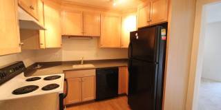 3007 SPICE Court Gallery 7