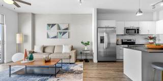 Motion at Dadeland Gallery 50