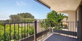 2452 Azure Coast Dr Gallery 16