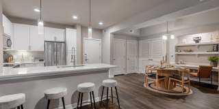 Can Plant Gallery 12