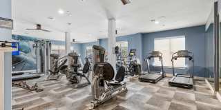 The Briscoe The Briscoe Gallery 12