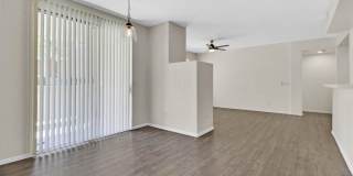908 Domnus Lane Gallery 4