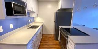 Recently Renovated 1 Bedroom in Honolulu Gallery 8