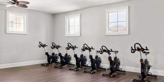 Oceanside Lantana Gallery 19