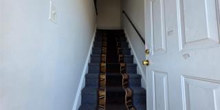 41 Quebec Road Gallery 10