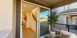 1482 Upland Sandpiper Street Gallery 25