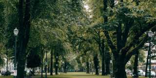 North Hollow Gallery 36