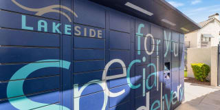 Lakeside Gallery 25
