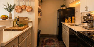 Regency Gallery 28