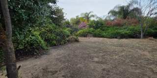 3bd/2ba Single Story, Fresh Updates, Huge Backyard Gallery 18