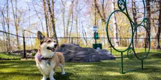 Avalon Saugus Gallery 24