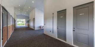 2889 Appaloosa Trail Gallery 33