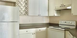 14929 ARBOR SPRINGS CIRCLE Gallery 13