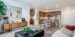 Altitude at the Brooks Gallery 13