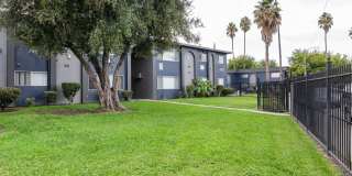 Prospera Village Gallery 40