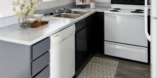 Evoq Apartment Homes Gallery 27