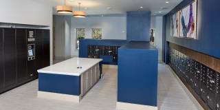 Linq at North Springs Gallery 37