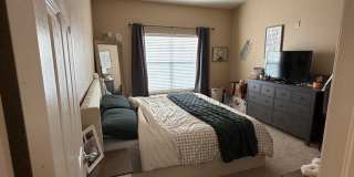 Fantastic!  Light and Bright!  1 bed + loft - 1 bath Gallery 29