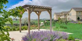 Springs at 2534 Gallery 18