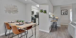 The Retreat at Lake Johnson Apartments Gallery 26