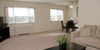 Wood Lee Arms Gallery 38