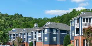 Avana Lexington Gallery 76