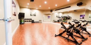 Signature Pointe Gallery 49