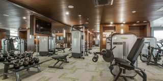 The Catherine Gallery 54